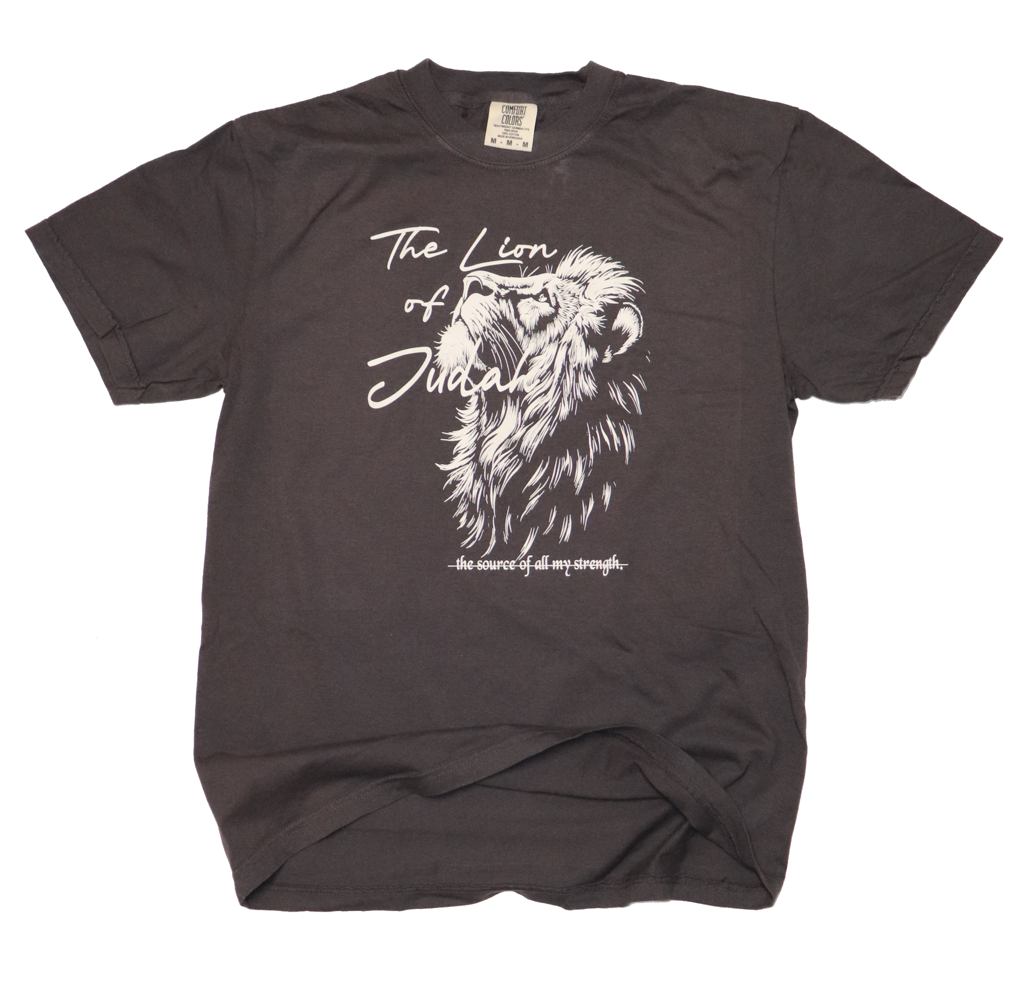 Lion of Judah T-Shirt