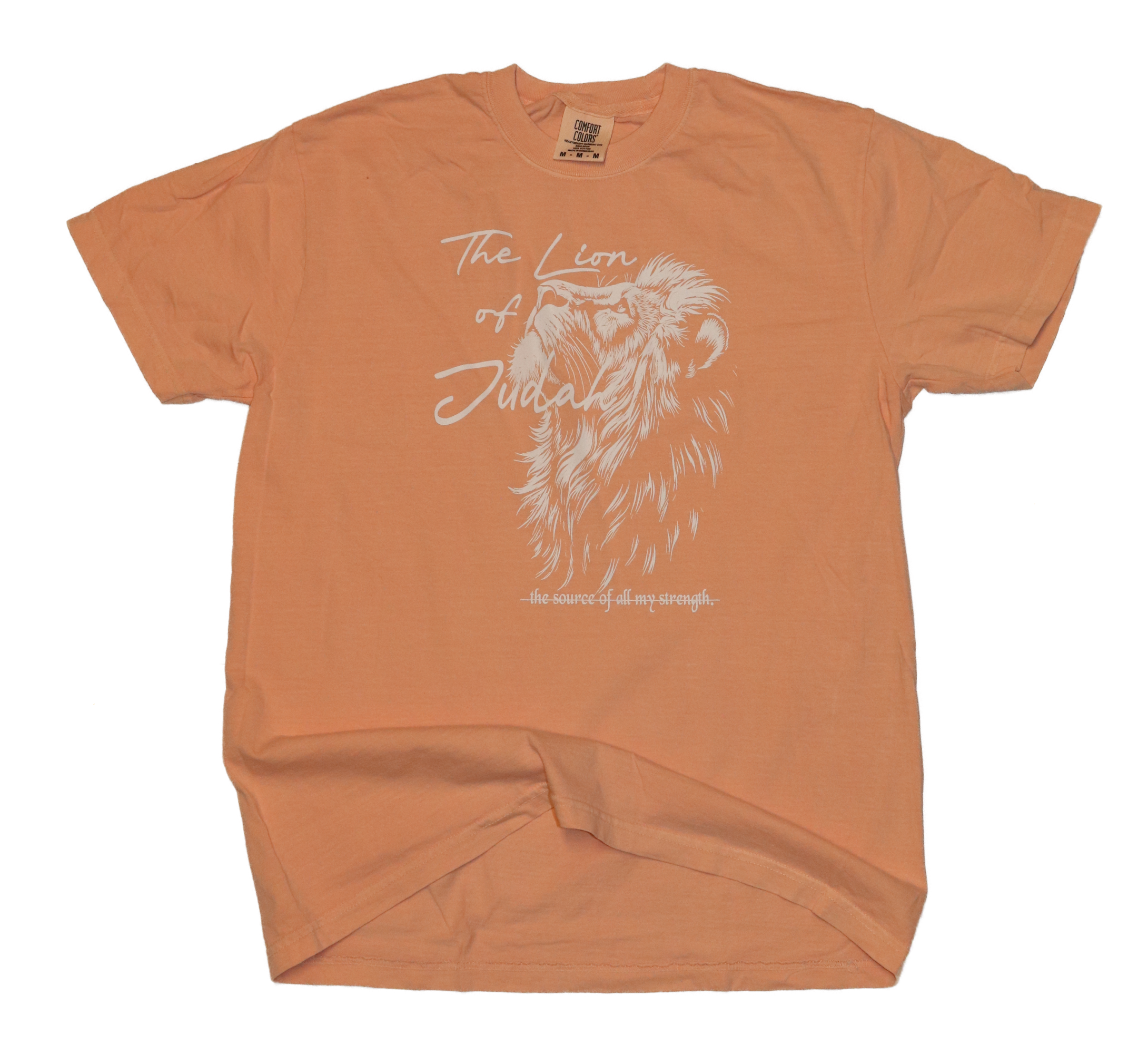 Lion of Judah T-Shirt